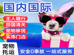花果山航空快运国际宠物托运 【国
